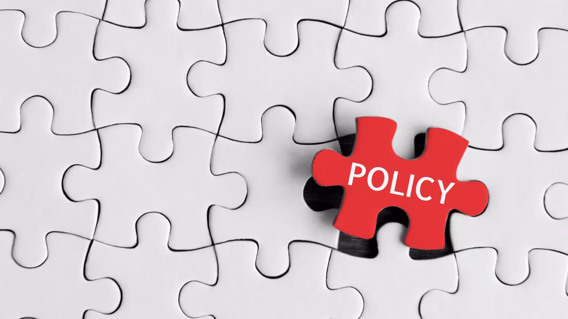 Beyaz puzzle parçaları arasında kırmızı üzerinde policy yazılı yapboz parçası