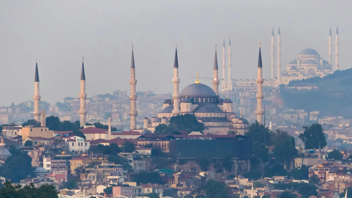 İstanbul'un tarihi cami siluetleri ve gökyüzünde süzülen bir martı.