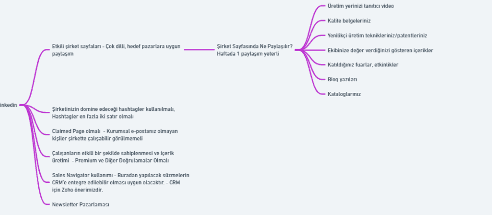LinkedIn içerik stratejisi için oluşturulmuş zihin haritası. Şirket sayfasında yapılacak paylaşımlar, etkili şirket sayfalarının özellikleri, çalışanların sahiplenmesi, Sales Navigator kullanımı ve newsletter pazarlaması gibi konular listelenmiş.

