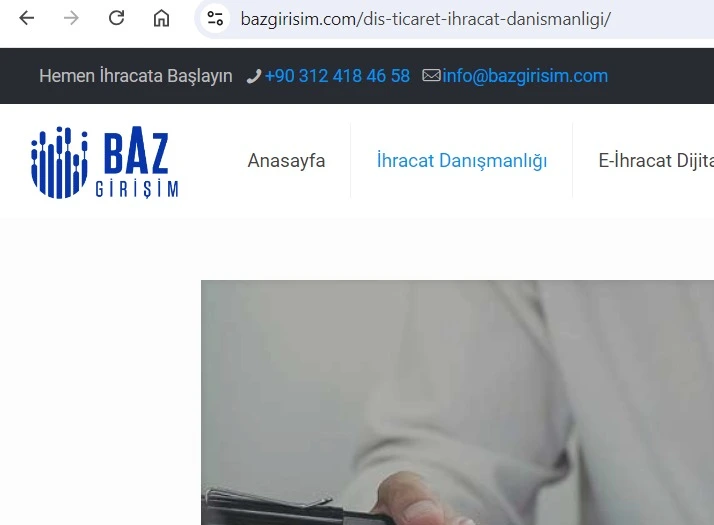 Baz Girişim websitesinin bir görüntüsü