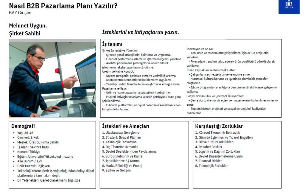 B2B pazarlama planı örneği: Demografi, istek ve amaçlar, karşılaşılan zorluklar gibi önemli stratejik detaylar içeren bir plan dokümanı.